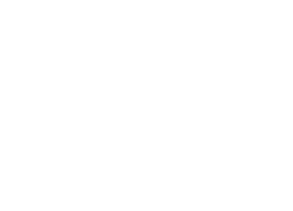 9X Tashan