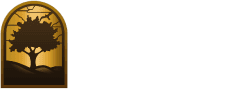 City TV Channel 3/41