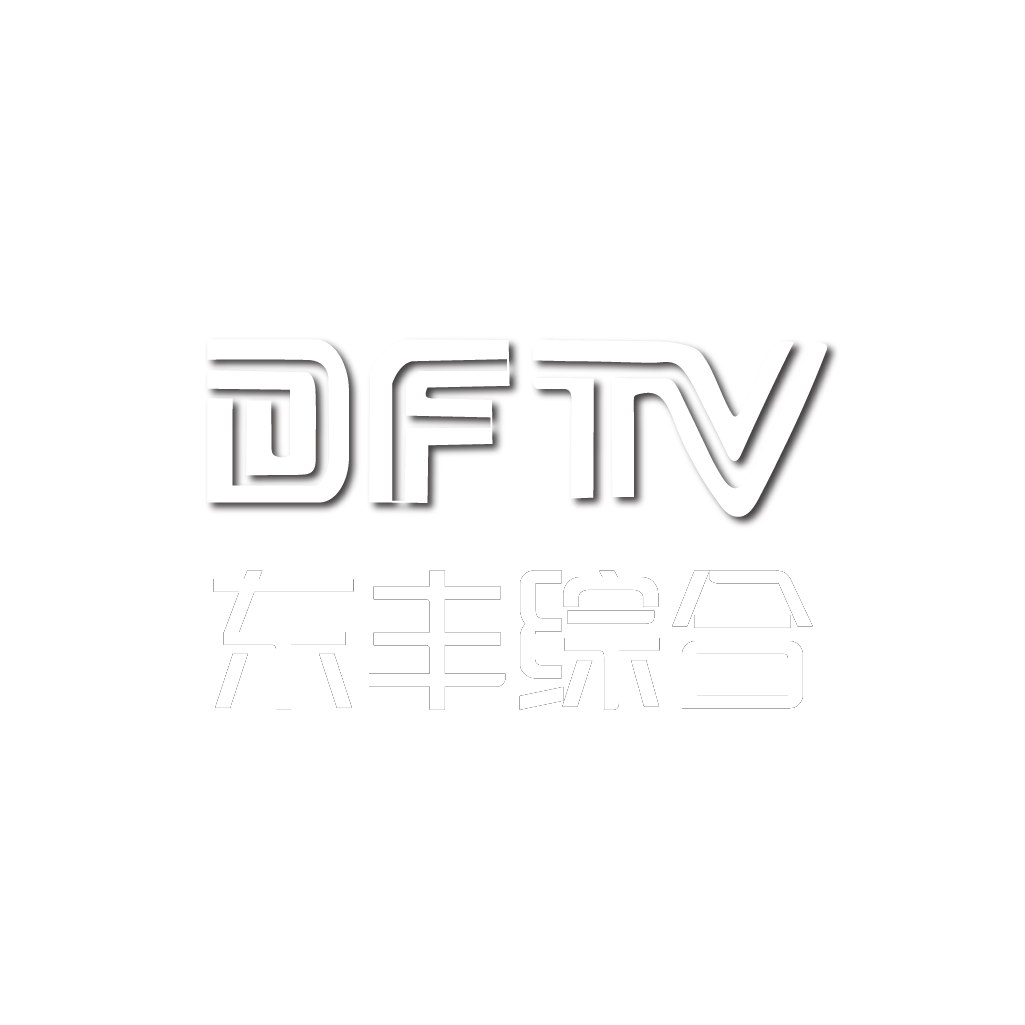 东丰综合