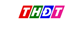 Dong Thap TV