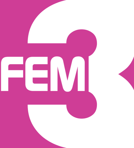 FEM3