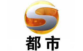 甘肃都市