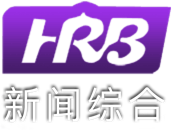 哈尔滨新闻综合