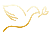LLBN TV South Asia