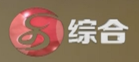 乐至综合