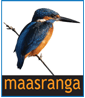 Maasranga TV