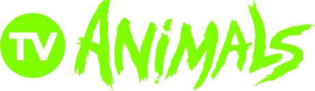 Pluto TV Animals+