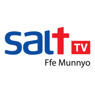 Salt TV
