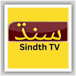 Sindh TV