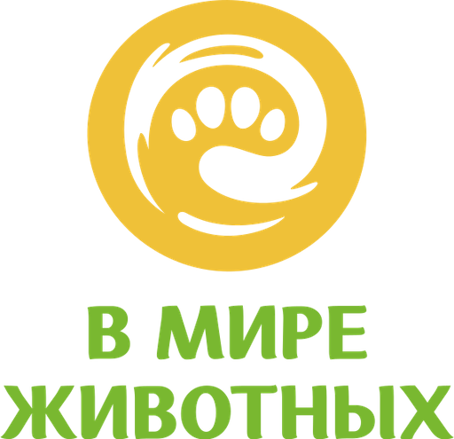 V mire zhivotnykh