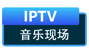 音乐现场