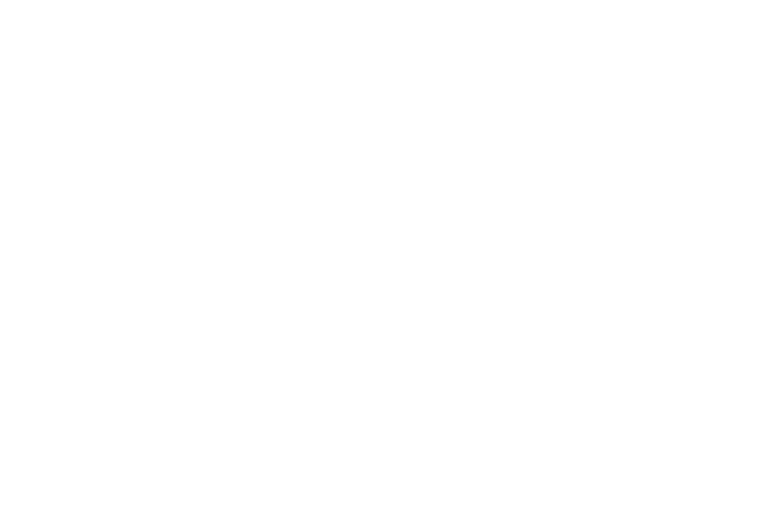 Z Nation