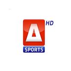 A sports